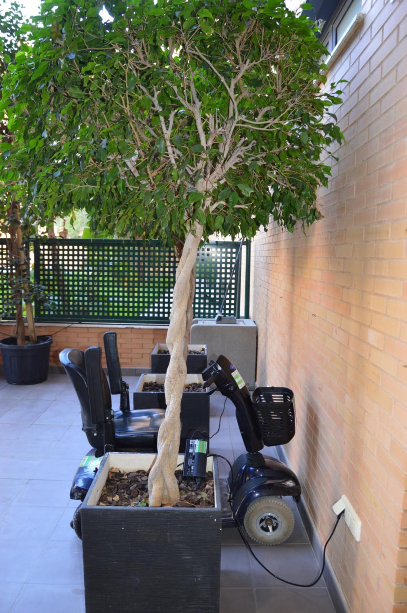 Albir Beach & Sun Apt El Albir Екстер'єр фото